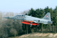 J-3212 @ LSMP - Being the last F-5F delivered to the Swiss AF J-3212 has some nose art applied.