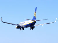 EI-DLS photo, click to enlarge EI-DLS photo, click to enlarge