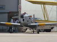 G-BPAL @ LPPM - Chipmunk of ex-raf from aeroalgarve base at Portimão . - by ze_mikex