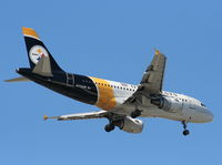 N733UW @ TPA - US Airways Pittsburgh Steelers A319 - by Florida Metal