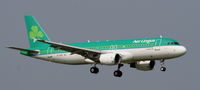 EI-DVE @ EHAM - Aer Lingus - by Sylvia K.
