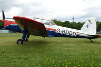 G-BDDD @ EGBP - 1951 DHC-1 Chipmunk 22 at Kemble on Great Vintage Flying Weekend - by Terry Fletcher