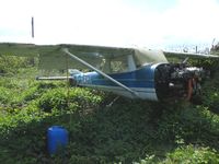 G-BAHI @ X3LL - Cessna F150H in the undergrowth at Little Staughton - by Simon Palmer