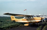 G-ASPI @ BQH - This Skyhawk attended the 1977 Biggin Hill Air Fair. - by Peter Nicholson