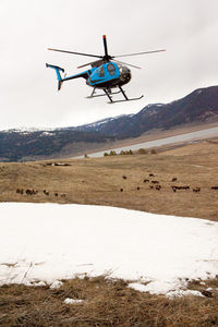N1095T - State of Montana harassing buffalo over private property - by Lance Koudele