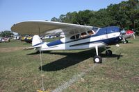 N2165C @ LAL - Cessna 195B - by Florida Metal
