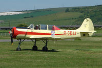 G-CDJJ @ EGKA - Yak 52 at Shoreham Airport - by Terry Fletcher