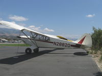 N28820 @ SZP - 1987 Christen Industries. Inc. A-1 HUSKY, Lycoming O&VO-360 180 Hp - by Doug Robertson