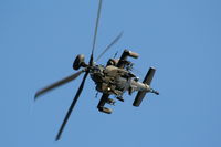 ZJ222 photo, click to enlarge ZJ222 photo, click to enlarge
