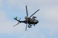 ZJ222 photo, click to enlarge ZJ222 photo, click to enlarge