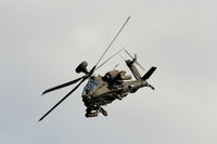 ZJ222 photo, click to enlarge ZJ222 photo, click to enlarge