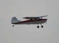 N170DP @ LAL - Cessna 170B - by Florida Metal