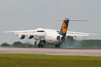 D-AVRL photo, click to enlarge D-AVRL photo, click to enlarge