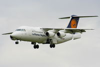 D-AVRL photo, click to enlarge D-AVRL photo, click to enlarge