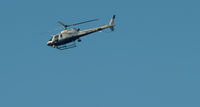 N226LA - LAPD AStar Eurocopter AS350 circling over Venice, a coastal district of Los Angeles. - by Anthony Citrano