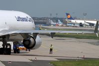 D-ALCA @ EDDF - Lufthansa Cargo - by Sylvia K.