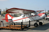 N1582E @ PALH - PALH