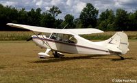 N4864E - Sitting pretty in the sun