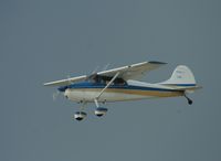 N170PY @ KOSH - Cessna 170A - by Mark Pasqualino