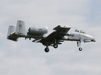 79-0113 @ YIP - A-10A Warthog - by Florida Metal