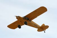 N711 @ KOSH - CC11-100