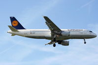 D-AIPP photo, click to enlarge D-AIPP photo, click to enlarge