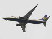 EI-DPY photo, click to enlarge EI-DPY photo, click to enlarge
