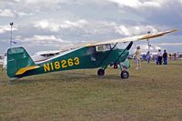 N18263 @ OSH - 2001 BUTTERCUP, c/n: 001X - by Timothy Aanerud