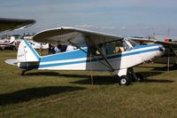 N280T @ OSH - 1953 Piper PA-18, c/n: 18-2394 - by Timothy Aanerud