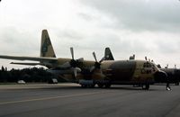 1619 @ GREENHAM - Another view of the Royal Saudi Air Force C-130H Hercules at the 1979 Intnl Air Tattoo at RAF Greenham Common. - by Peter Nicholson