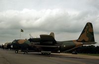 2454 @ GREENHAM - C-130E Hercules of 1 Grupo Transportes of the Brazilian Air Force at the 1979 Intnl Air Tattoo at RAF Greenham Common. - by Peter Nicholson