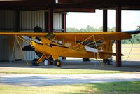 N38794 @ DCM - Piper Cub - by Connor Shepard