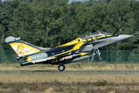 304 @ EBBL - ECE05.330 painting of a hybride tiger.