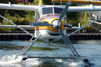 N1455T photo, click to enlarge