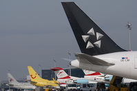 OE-LAY @ VIE - Austrian Airlines Boeing 767-300