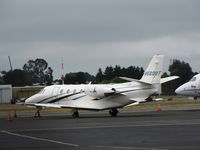 N560BT @ HWD - 1990 Cessna 560XL visiting from Oregon - by Steve Nation
