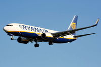 EI-DPR @ EGGP - Ryanair - by Chris Hall