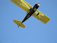 N5503H photo, click to enlarge