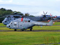 XZ248 photo, click to enlarge XZ248 photo, click to enlarge
