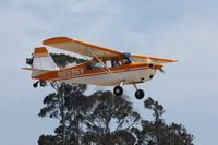 N8595V @ KLPC - Lompoc Piper Cub fly-in 09' - by Nick Taylor Photography