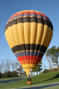 N4020S - Balloon at landing - by Adam Howe