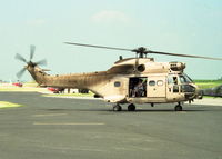 XW220 photo, click to enlarge XW220 photo, click to enlarge