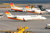OE-LCG photo, click to enlarge OE-LCG photo, click to enlarge