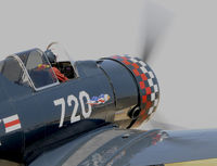 N202LD @ KCMA - CAMARILLO AIR SHOW 2009 - by Todd Royer