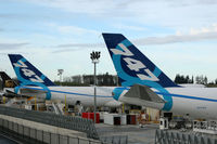 N747EX @ KPAE - KPAE A mistake from the Boeing paint shop both 747-800's parked side by side are carrying N747EX the one on the left is the real N747EX