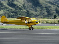 N98425 @ SZP - 1946 Piper J3C-65 CUB, Continental C90 90 Hp upgrade, touch and go Rwy 22 - by Doug Robertson