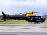 ZJ243 photo, click to enlarge ZJ243 photo, click to enlarge