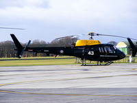 ZJ243 photo, click to enlarge ZJ243 photo, click to enlarge