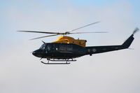 ZJ237 photo, click to enlarge ZJ237 photo, click to enlarge