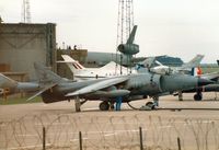 XZ440 @ EGQL - Sea Harrier FRS.1 of 800 Squadron at RNAS Yeovilton on the flight-line at the 1989 RAF Leuchars Airshow. - by Peter Nicholson
